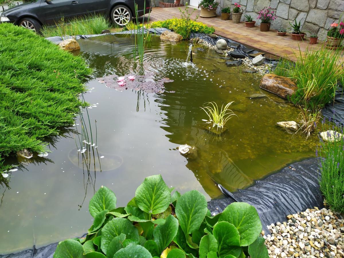 Ubytovani Iris Dolany  エクステリア 写真